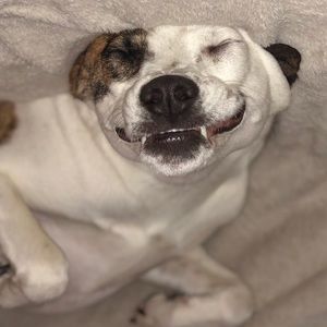 Meet your Posher, Gavin